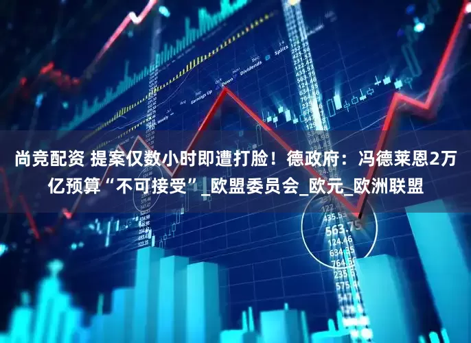 尚竞配资 提案仅数小时即遭打脸！德政府：冯德莱恩2万亿预算“不可接受”_欧盟委员会_欧元_欧洲联盟